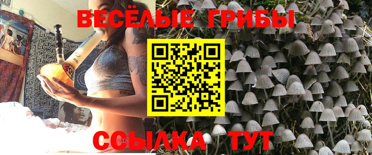 Галлюциногенные грибы MAGIC MUSHROOMS  Вход с VPN  Карасук 